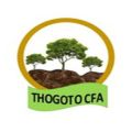 thogoto cfa logo